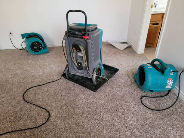 Best Water damage restoration near me  in Miller Place, NY