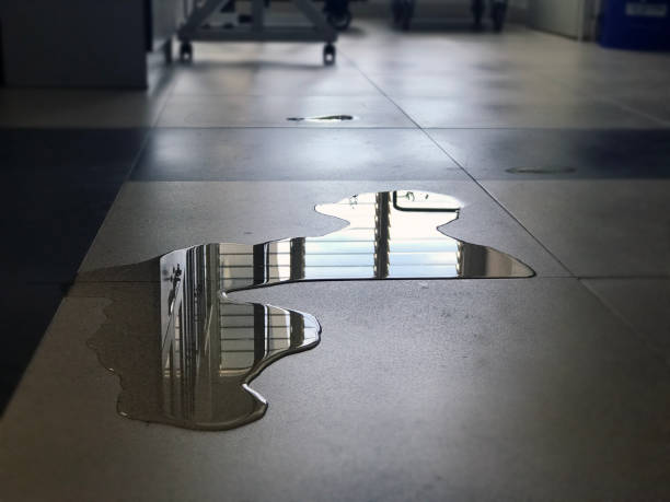 Best Water damage cleanup near me  in Miller Place, NY