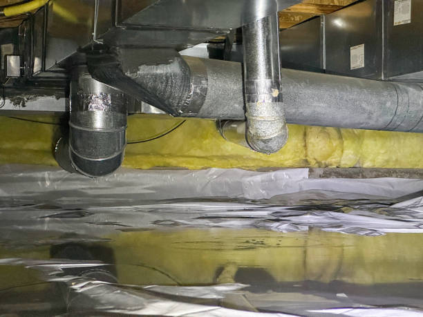 Best Ceiling water damage repair  in Miller Place, NY