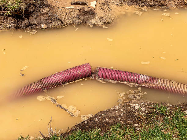 Best Professional water damage repair  in Miller Place, NY